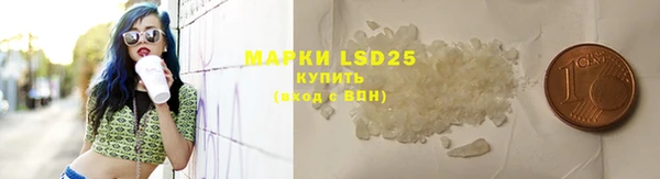 крисы Алексин