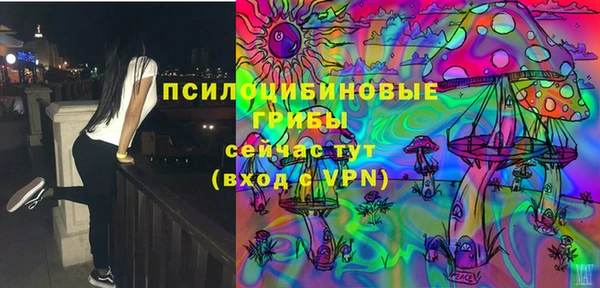 крисы Алексин