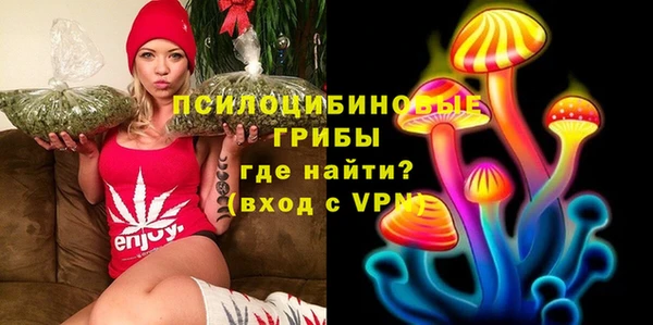 крисы Алексин