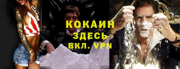 крисы Алексин