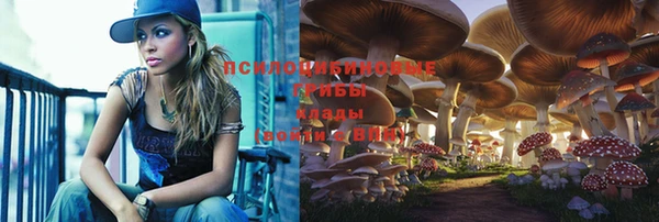 мяу мяу мука Алексеевка