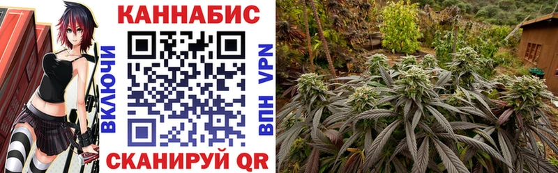 Каннабис гибрид  Находка 